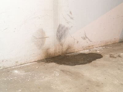 Professional mold remediation services in El Paso